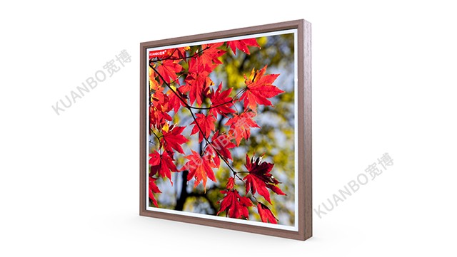 香港六马宝典正版资料